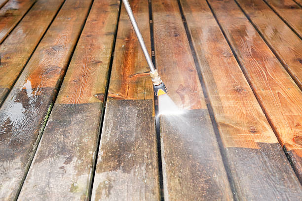 Solar Panel Cleaning in Wayland, MI